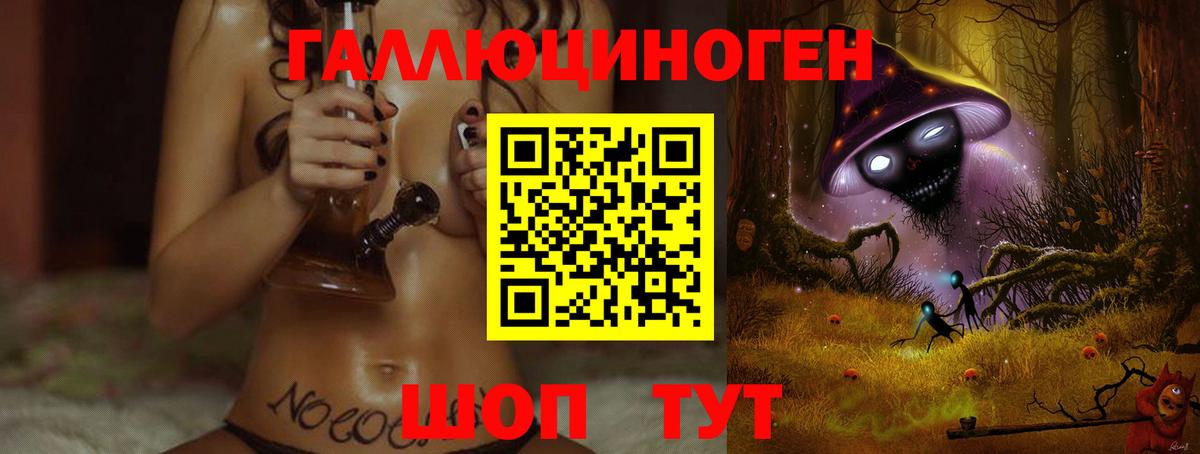 Альметьевск  Галлюциногенные грибы Cubensis  Вход с VPN 